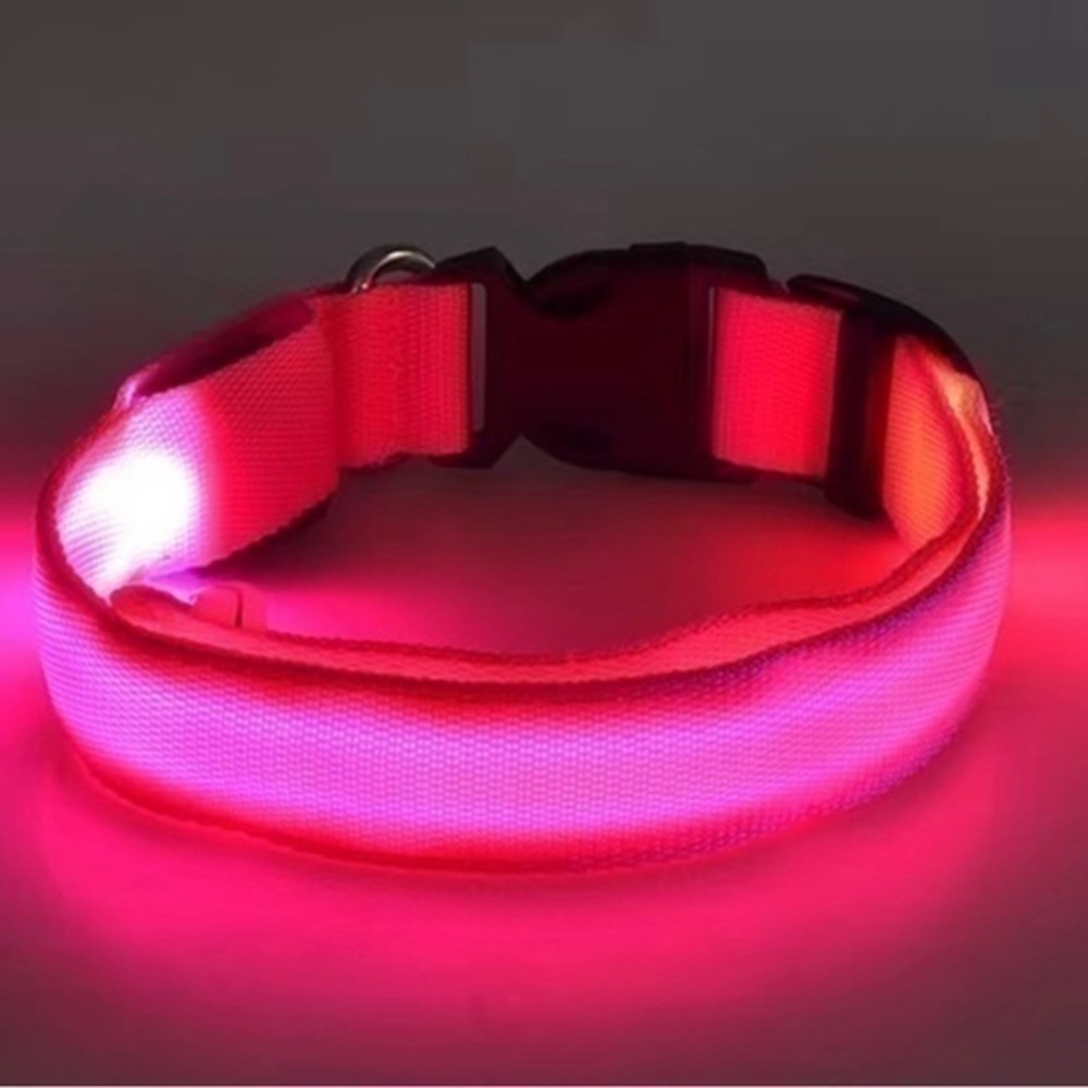 Led Dog Collar for Dog / Cats - Night Walking